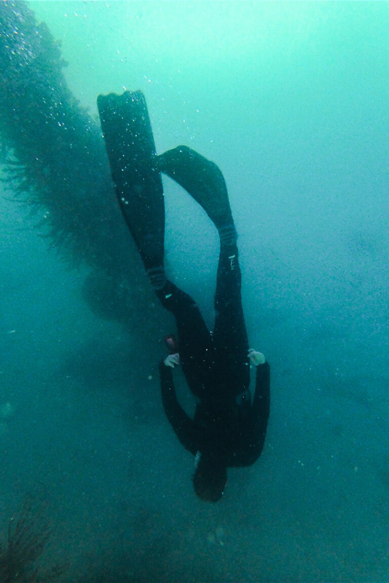 Freediving_Jetty_1200